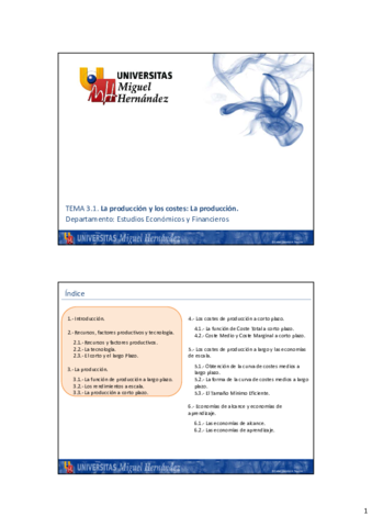 Miniatura del documento TEMA-31-La-produccion-y-los-costes.pdf