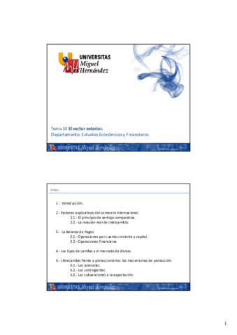 Miniatura del documento TEMA-10-PRESEN-El-sector-exterior.pdf