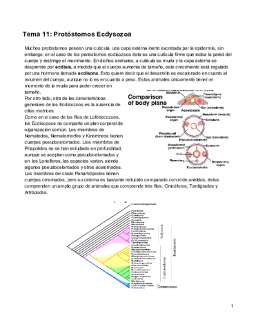 Miniatura del documento Zoologia-II-Temas-11-19.pdf