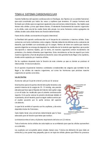 Miniatura del documento TEMA-4.pdf