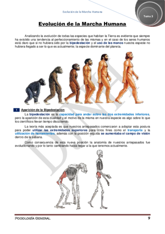 Miniatura del documento 3.pdf