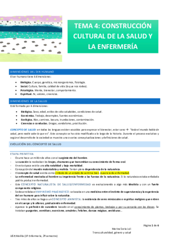 Miniatura del documento T4-Transculturalidad.pdf