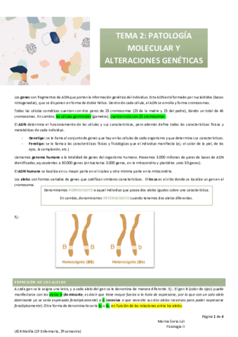 Miniatura del documento T2-FISO-II.pdf