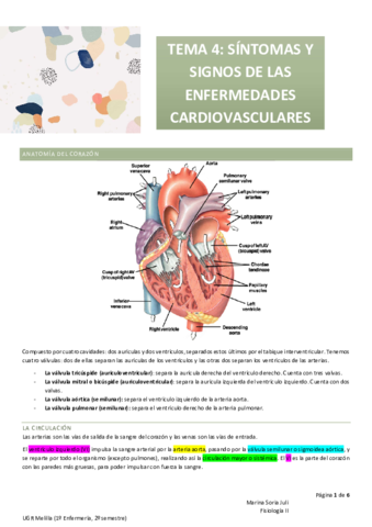 Miniatura del documento T4-FISIO-II.pdf