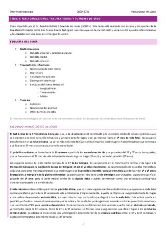 Miniatura del documento TEMA-9-MALFORMACIONES-TRAUMATISMOS-Y-TUMORES-DEL-OIDO.pdf