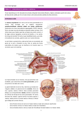 Miniatura del documento TEMA-11-RINOSINUSITIS-AGUDA-Y-CRONICA.pdf