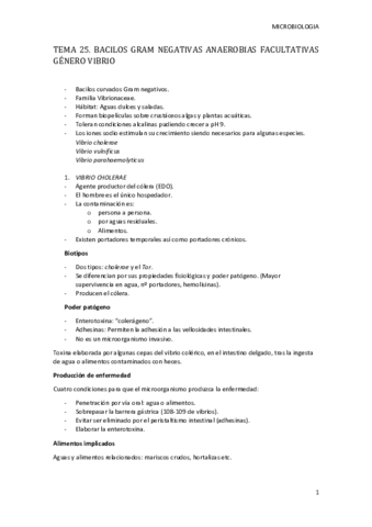 Miniatura del documento Tema-25-MICRO.pdf