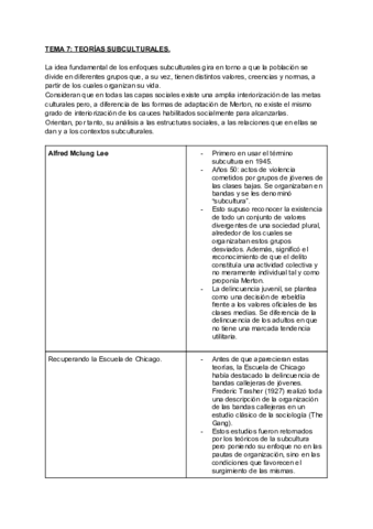 Miniatura del documento TEMA-7-TEORIAS-SUBCULTURALES.pdf