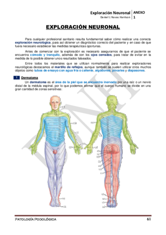Miniatura del documento ANEXO-1o-Exploracion-Neuronal.pdf