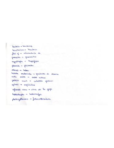 Miniatura del documento Vocalulario-4.pdf