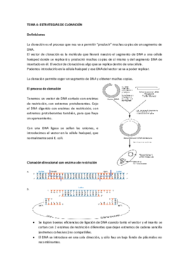 Miniatura del documento Tema 4 IG.pdf