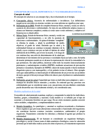 Miniatura del documento SALUD-TODO.pdf