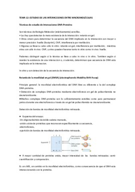 Miniatura del documento Tema 12 IG.pdf