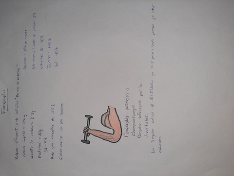 Miniatura del documento IMG20201119213237726.jpg