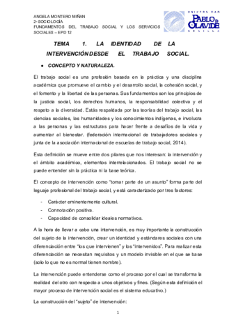 Miniatura del documento TEMA-1-IDENTIDAD-DE-LA-INTERVENCION-DESDE-EL-TRABAJO-SOCIAL.pdf