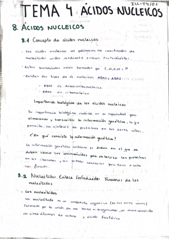 Miniatura del documento Acidos-Nucleicos.pdf