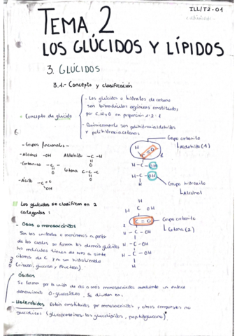 Miniatura del documento Glucidos-Y-Lipidos.pdf