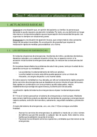 Miniatura del documento Resumen-Unidad-1-PAux.pdf