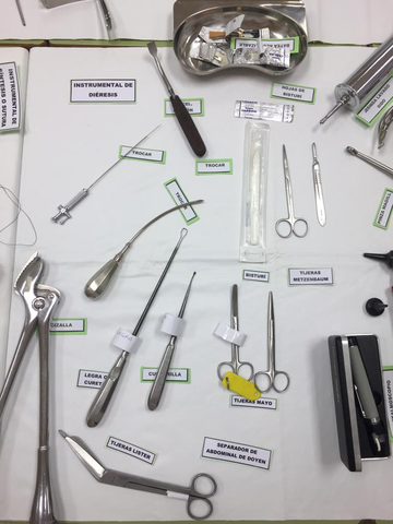 Miniatura del documento 3-Corte-o-dieresis.jpg