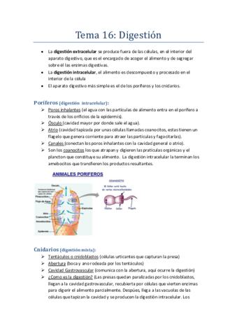 Miniatura del documento Tema-16-Biologia.pdf