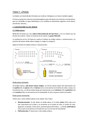 Miniatura del documento TEMA-7.pdf