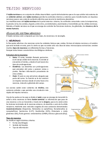 Miniatura del documento NERVIOSO.pdf