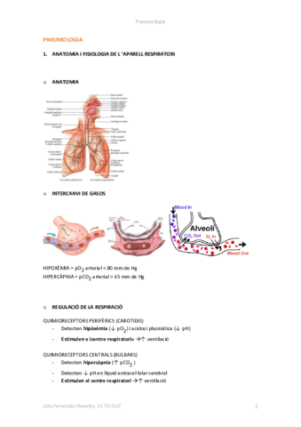 Miniatura del documento 1.pdf
