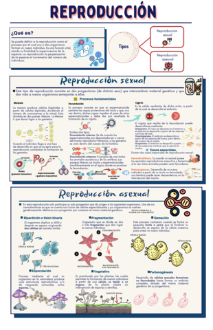 Miniatura del documento 4H-Infografia.pdf