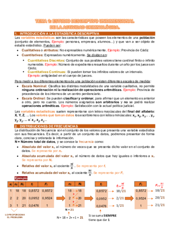 Miniatura del documento TEMA-1.pdf
