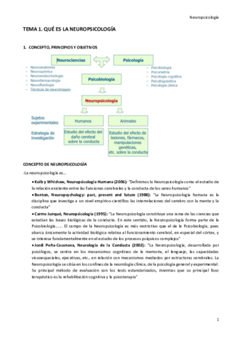 Miniatura del documento Tema-1.pdf