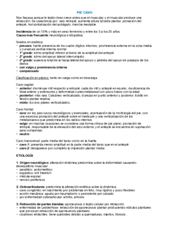 Miniatura del documento Pie-Cavo.pdf
