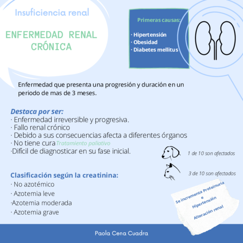 Miniatura del documento Insuficiencia-renal.pdf