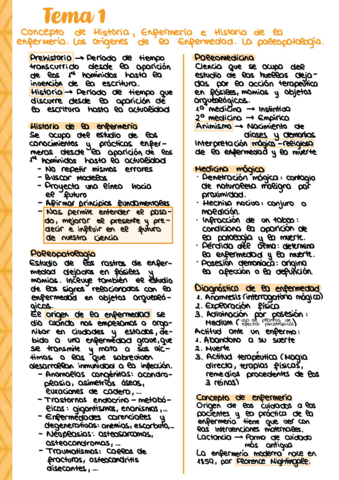 Miniatura del documento Mini-resumen-historia-tema-1.pdf