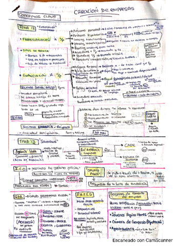 Miniatura del documento Microresumen-T12-T13-T11.pdf
