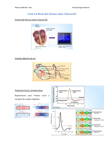 Miniatura del documento Tema-4.pdf