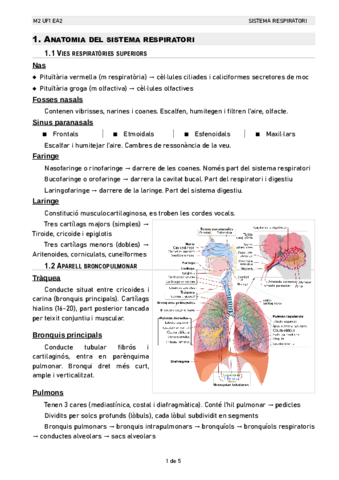 Miniatura del documento M2-UF2-EA2.pdf