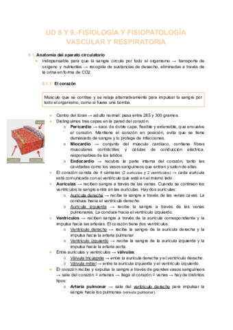 Miniatura del documento U.pdf