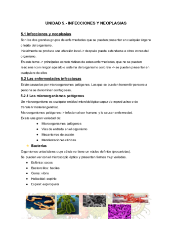 Miniatura del documento UNIDAD-5.pdf