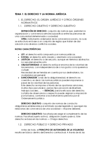Miniatura del documento TEMA-1.pdf