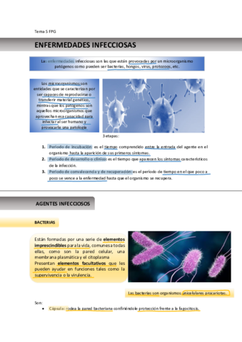 Miniatura del documento TEMA-5-FPG.pdf