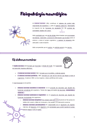 Miniatura del documento UNIDAD-9-SISTEMA-NERVIOSO.pdf