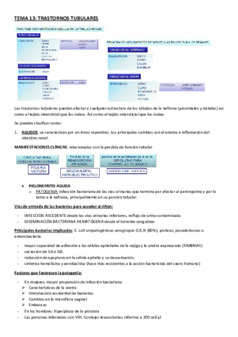 Miniatura del documento TEMA-13.pdf