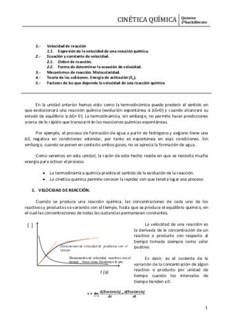 Miniatura del documento CINÉTICA QUÍMICA.pdf