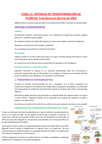 Miniatura del documento TEMA-11.pdf