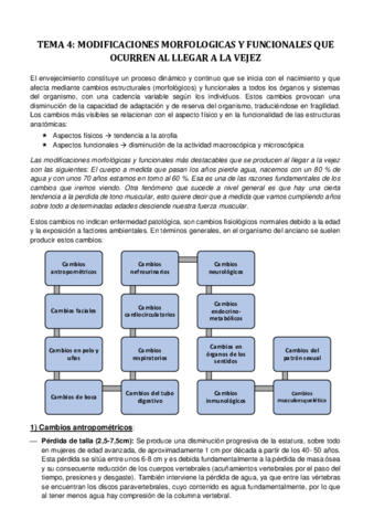 Miniatura del documento TEMA-4.pdf