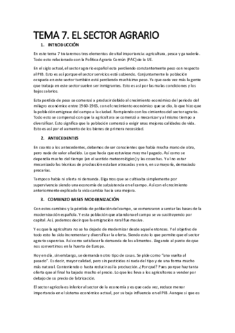 Miniatura del documento TEMA-7-economia-espanola.pdf