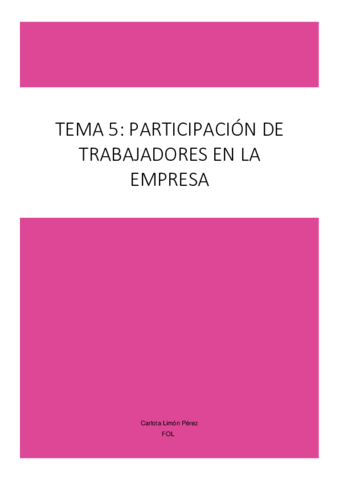 Miniatura del documento Tema-5-Participacion-de-trabajadores-en-la-empresa.pdf