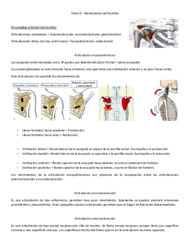Miniatura del documento Tema-8-biomecanica.pdf