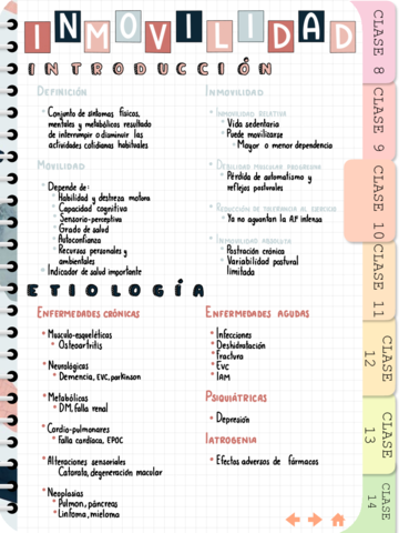 Miniatura del documento INMOVILIDAD-.pdf