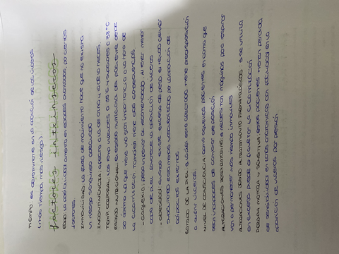 Miniatura del documento image.jpg